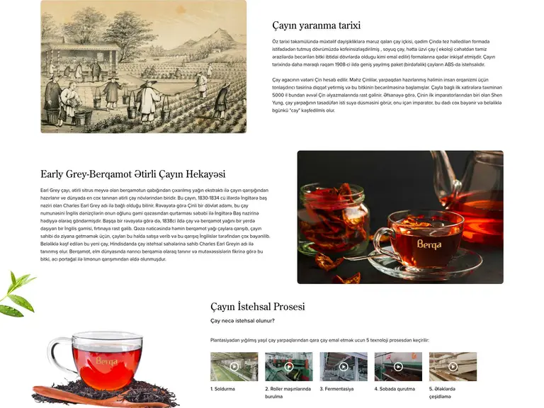 Berqa Tea 5